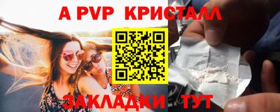 прущие грибы Можга
