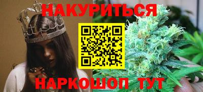 прущие грибы Можга